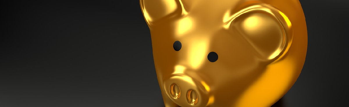 Talous Lieksassa, kultainen possu pöydällä