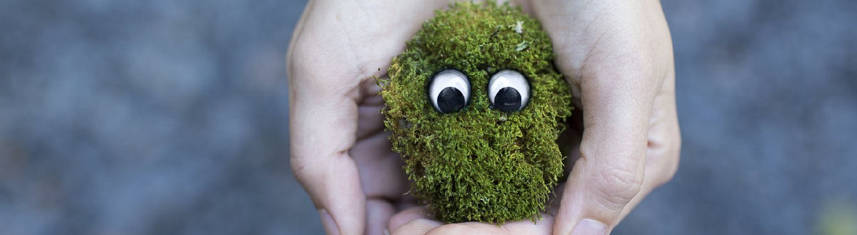 Sammalta kädellä. Sammalella on silmät.