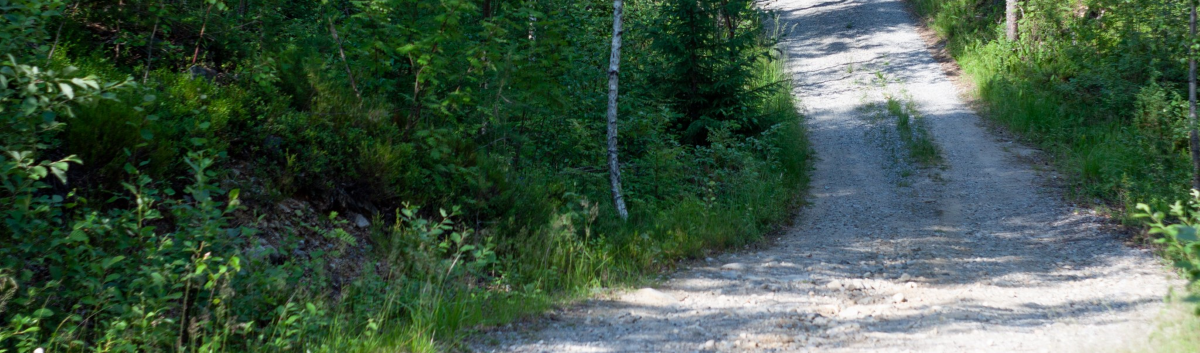 Lieksan kaupunki julistaa haettavaksi yksityisteiden kunnossapitoavustukset vuodelle 2026