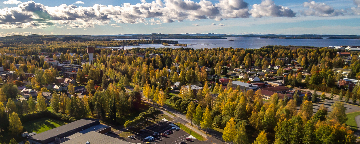 Lieksan kaupun­gilla jälleen vahva tulos – vuoden 2025 tilin­pää­tös on valmis­tu­nut