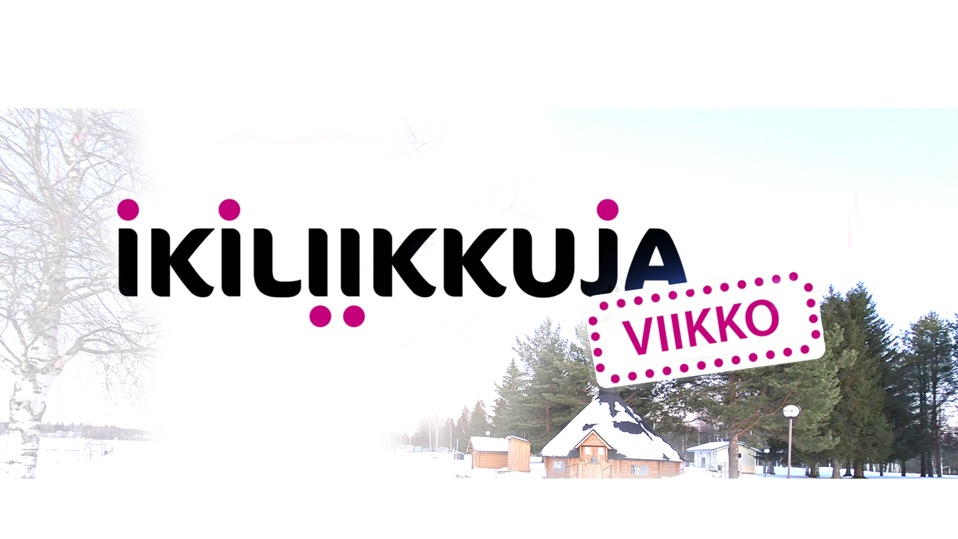 Lieksan sataman grillikota